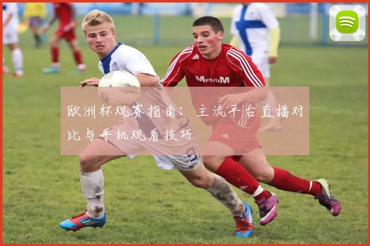 欧洲杯观赛指南：主流平台直播对比与手机观看技巧