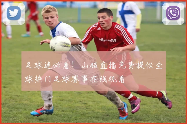 足球迷必看!山猫直播免费提供全球热门足球赛事在线观看