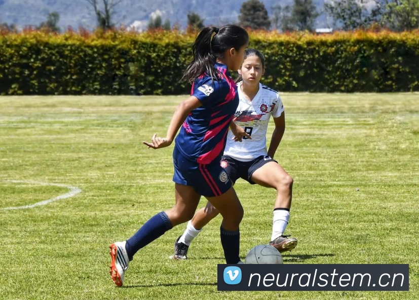 App Interface Preview